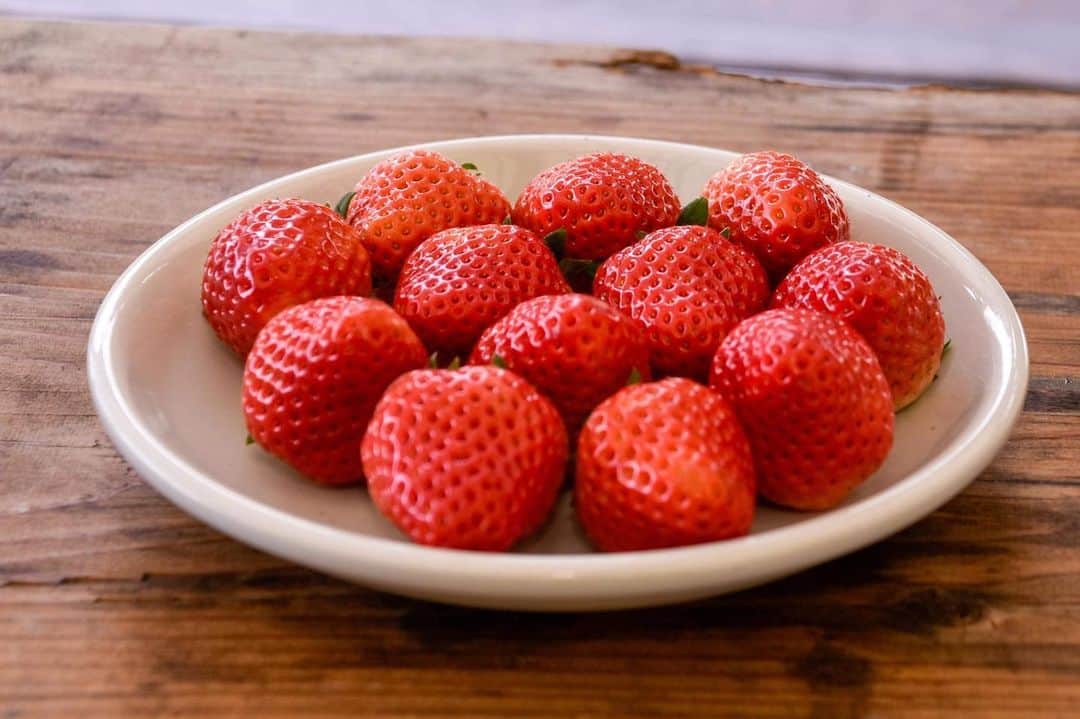 山本隆弘さんのインスタグラム写真 - (山本隆弘Instagram)「宮崎のイチゴ甘かったなー🍓 #宮崎 #やよい姫 #あろはすファーム」2月10日 20時37分 - yamamototakahiro5