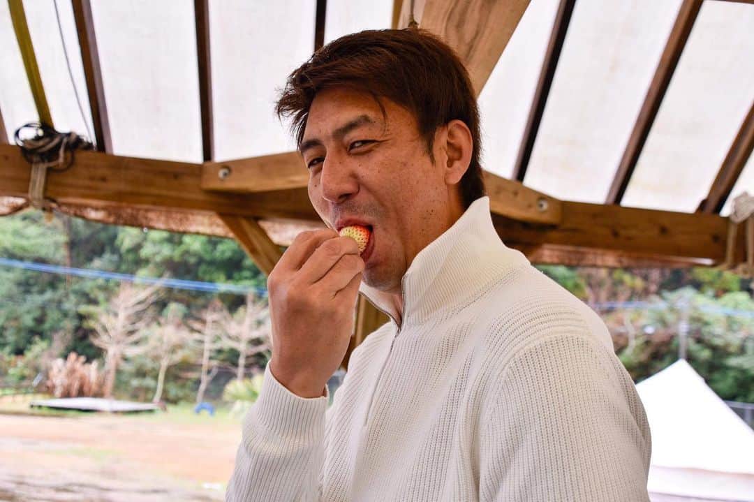 のインスタグラム：「宮崎のイチゴ甘かったなー🍓 #宮崎 #やよい姫 #あろはすファーム」