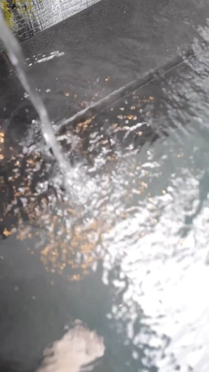 中川珠里のグルメインスタ