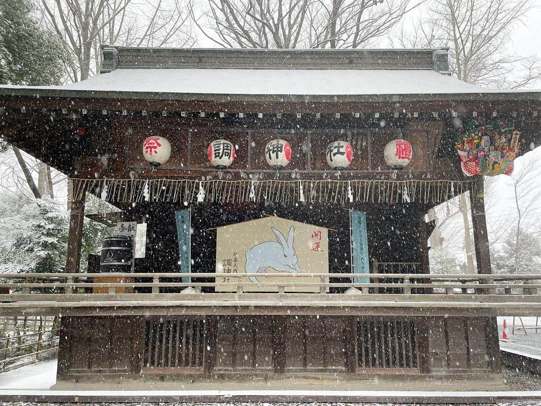 Yukaのインスタグラム：「𝟚𝟘𝟚𝟛.𝟘𝟚.𝟙𝟘  滅多に雪降らないさいたま 今日珍しく大雪警報が出たくらい雪降ってた❄️ ちょうど用事があったから朝お出掛けして、 帰りに神社に寄って帰った⛩  狛犬ならぬ、狛兎がいる調(つき)神社 2023は兎年だから、今年にピッタリの神社🐇𓂃𓈒𓏸︎︎︎︎  せっかく雪降ってたのに、 息子は抱っこ紐の中で爆睡してた👶🏻  ┈┈┈┈┈┈┈┈┈┈┈┈┈┈┈┈┈┈┈┈  很少下雪的關東 今天突然下起了雪 甚至還發佈了大雪警報❄️  早上趁天氣還好的時候趕快出門辦事情 兒子一開始看到雪很開心，眼睛閃閃發亮✨ 原本想讓他實際摸摸看雪 殊不知辦完事情直接爆睡 回程繞去神社拍照 這間神社的守護神是兔子 剛好今年又是兔年 比起往年人潮真的多很多 御守、朱印也都是兔子 有興趣的人推薦可以來參拜🐇  #tsukinomiya#tsukijinja#saitama#japana#urawa#snow#つきのみや神社#調神社#狛兎#兎#兎年#干支#雪景色#雪#大雪警報#神社巡り#さいたま#神社」