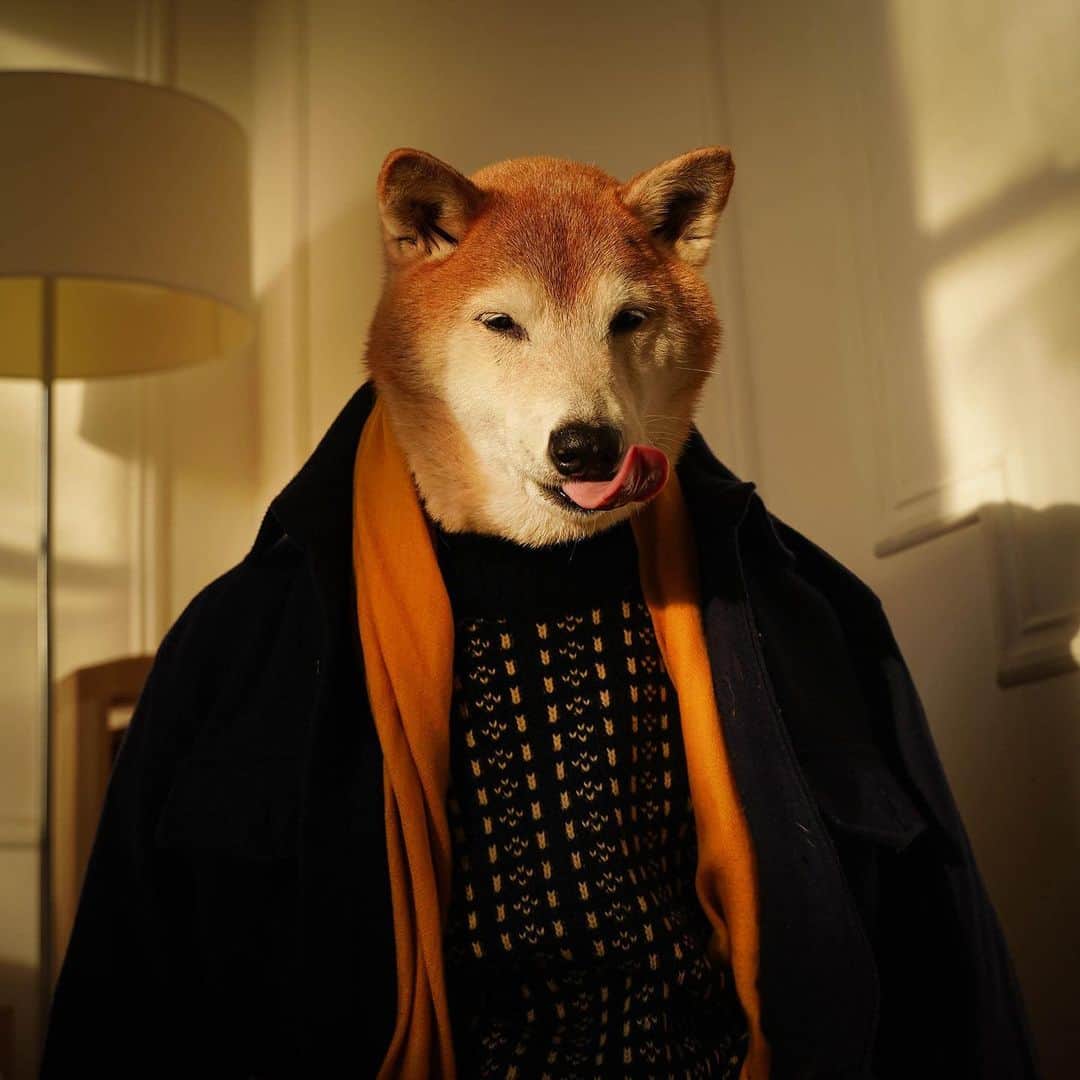 Menswear Dogのインスタグラム：「How I’m pulling up on Valentine’s Day 🌹」