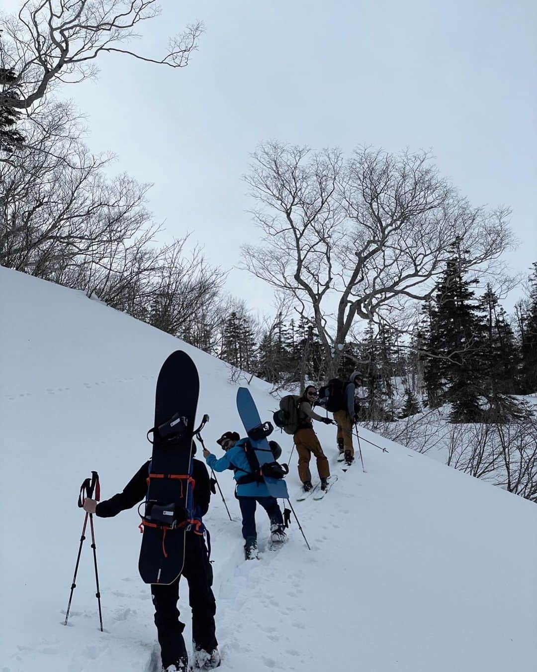 Takayuki Konoさんのインスタグラム写真 - (Takayuki KonoInstagram)「2h30登って滑るの1分。 初めてのバックカントリーは悔しい事ばっかり。 この歳になって悔しさ経験できた良い機会。 自然の怖さ、偉大さ。人の無力さ。 今年も沢山行きたいぞー」2月11日 16時43分 - takayukikono_