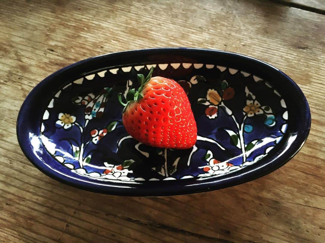 のインスタグラム：「とちあいかっていちご、初めて食べたけどすごい美味しかったです。また買いたいな。 ミイラズのグッズ予約受付中です！よろぴく。」