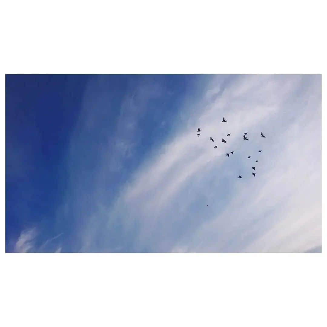 花村怜美さんのインスタグラム写真 - (花村怜美Instagram)「一点の赤。 #空 #雲 #鳥 #凧 #自然 #景色 #風景 #sky #cloud #clouds #fly #birds #red #kite #nature #landscape #japan」2月11日 17時10分 - satomi_hanamura