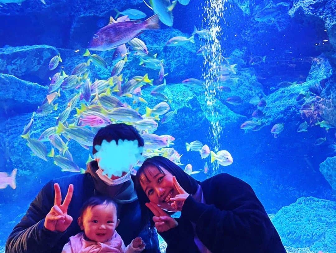 浜名ランチさんのインスタグラム写真 - (浜名ランチInstagram)「この前は、  中村涼子さん家族✨ 杏ちゃん家族 ランチ家族 ですみだ水族館🐠行っていました！  ベビ達みんな大喜びの大変な時間でしたが 楽し過ぎてあっという間でした！！ 今度みんなでディズニー行こという話になりましたが✨ お家でもどこでもこのメンツなら 絶対に楽しいでしょう💕  #中村涼子さん #ハルカラ #家族 #すみだ水族館」2月11日 17時33分 - hamanaranch