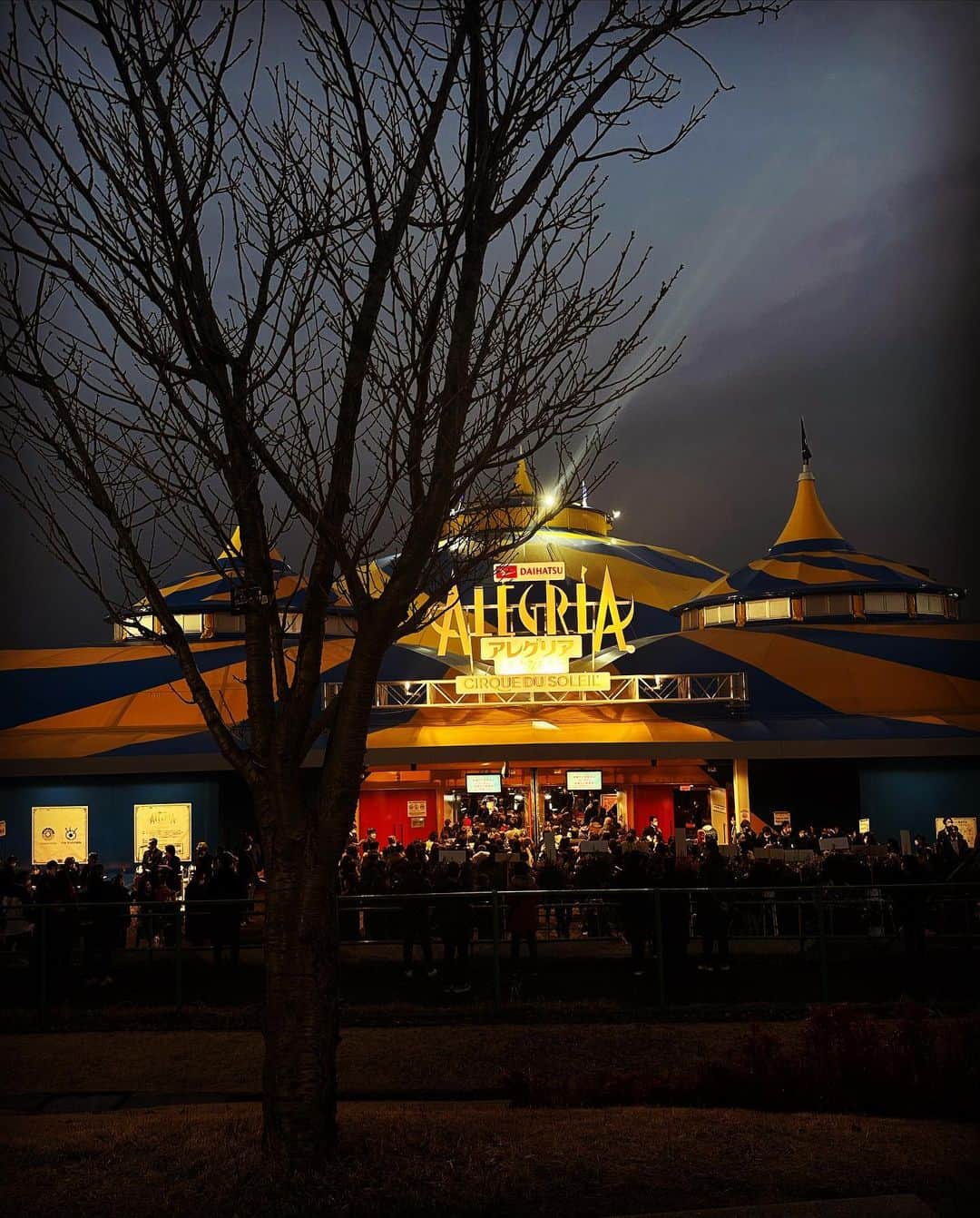 小春のインスタグラム：「先日Cirque du SoleilのAlegríaの初日公演を観に行きました。 Alegríaを27年前に観に行って、そこでクラウンが弾いていたアコーディオンがどうしても欲しくてサンタさんにお願いして、届いたその日から今までアコーディオンを弾いています。  そのAlegríaがまた観れる人生が来るなんて最高です… どうしてもありがとうの気持ちとここの世界にまた来れたみたいな感情で上乗せされちゃって、冷静な感想などカケラも出てこないんですが、 とりあえずこれ観て人生が出来上がりましたという話です。  サーカスって最高。今こうして観ると、自分でこういう世界を作りたいという昔とは別の夢が出てきます。」