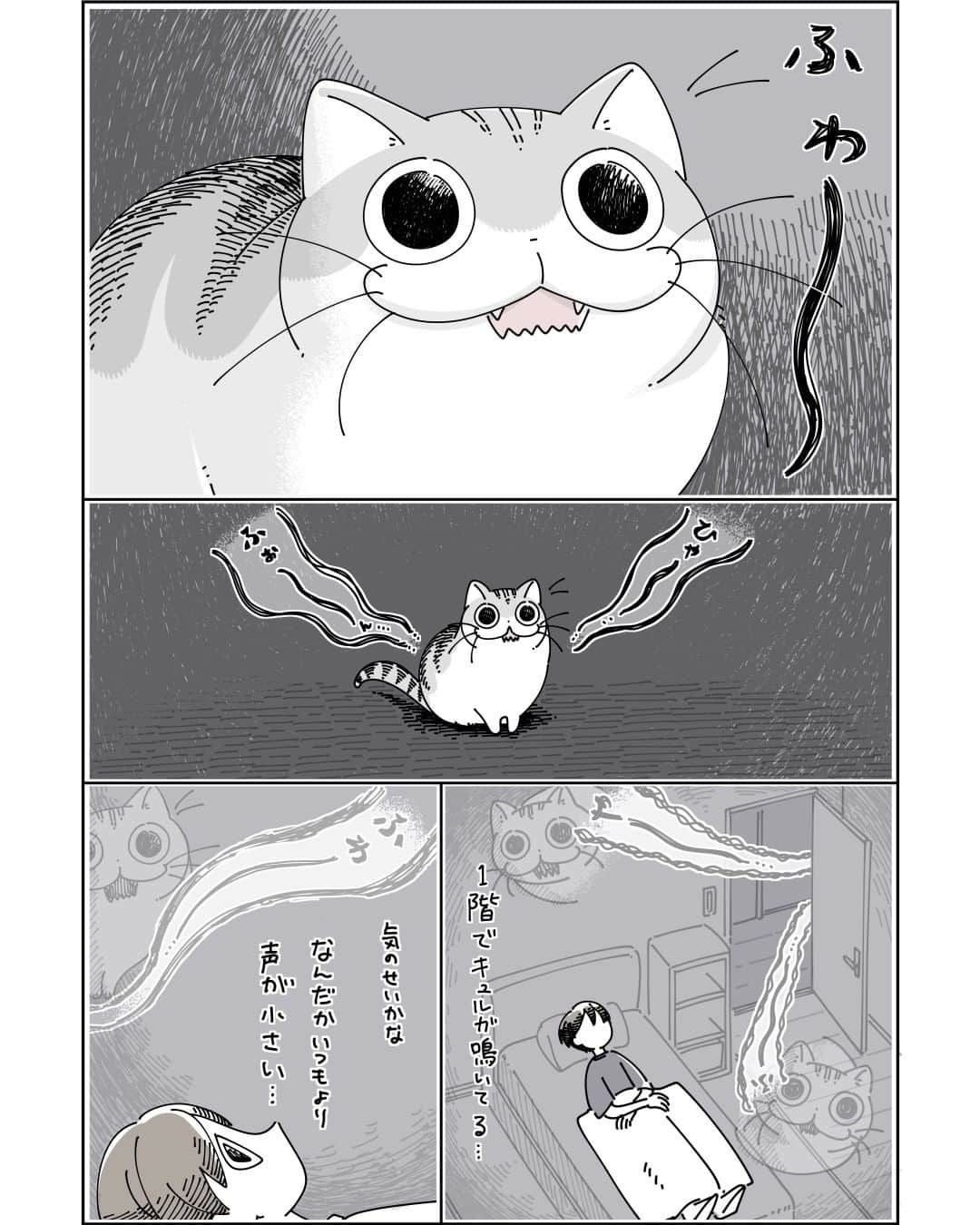 キュルZのインスタグラム：「ネコが心配になる夜中  #キュルガ #夜は猫といっしょ #猫 #cat #猫漫画 #猫のいる暮らし」