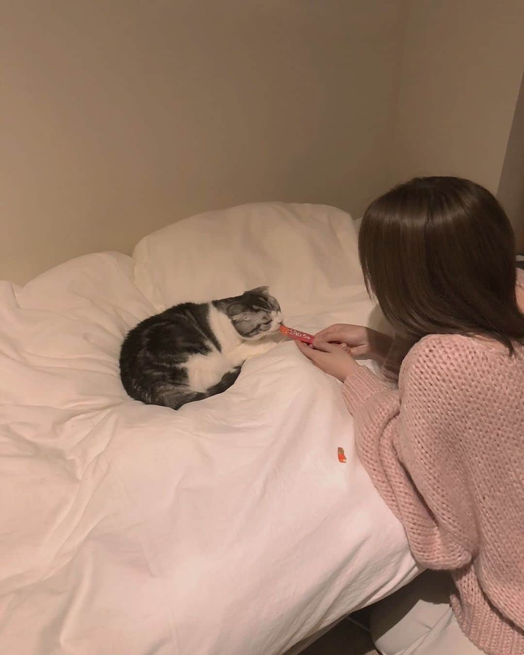 井上紗希さんのインスタグラム写真 - (井上紗希Instagram)「⁡ 愛猫に忘れられた飼い主なので ちゅーるで釣りました🥹」2月11日 20時29分 - peppe718