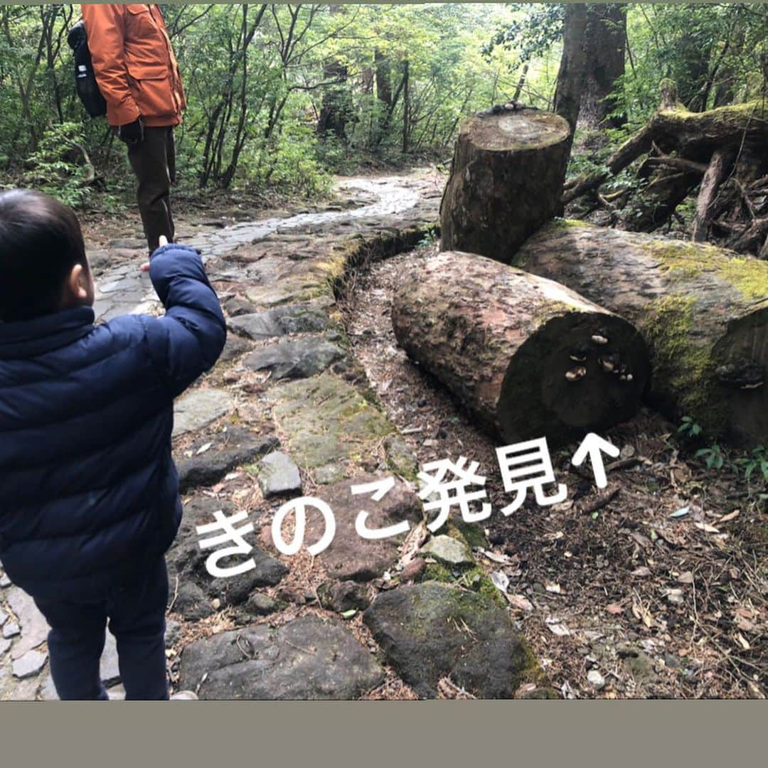 北﨑千香子さんのインスタグラム写真 - (北﨑千香子Instagram)「子連れで初登山⛰♡ 霧島旅行中に思いつきでふらっと、、🥾 子どもたちの登山デビュー戦は、霧島の大浪池🍂 ＊ すれ違う時、登山用の服をがっつり着てる人が８割くらい居たけど、みなさんこの1枚目写真の大浪池を見られる所からさらに池の周りを約1時間かけて一周したり、韓国岳まで登山しちゃうよってことで、完全装備していらしたみたい🤔 ＊ 我々のミッションは全員揃ってこの大浪池を見ること👀だったので、子供のペースに合わせながら登り、なんせ舗装された道が９割くらい？の印象だったので、ふらっと私服でも一応は登れました😂✌️ ＊ ただ登りやすい道だからと駆け足で登ると、標高が割と高いのでゆっくり登らないと息が切れやすいのでゆっくりを意識🙋 ＊ 結局、片道は目安時間の40分ほどで登れました✌️ ＊ うちの子も例外なく抱っこコールをよく鳴らしますが、毎回違う道でキノコがあったり鹿っぽいのを見れたりでなんと往復抱っこなしでゴール。奇跡。 ちなみに今月行きましたが、ゴール地点にすこーし雪が残ってたくらいで足場悪くはなく🙆‍♀️ ゴール地点にもスタート地点にもお手洗いがあるからトイレもなんとかクリア✨ それと、ゴール地点には室内の休憩所があるのでそこでおにぎりを食べました🍙🌿 ＊ 子連れ登山なんてまだまだ早いか？と思っていたけれど、彼らにも潜在的に山を登り実りを確かめる能力が備わっているようで、、🐒🐒 公園も児童館も遊園地も〜とマンネリ化してきたら…意外と登山デビューもアリかもしれません☺️ きっと、あなたの子も大丈夫🐵💗  ただ、わたしの唯一の後悔は…映画「君の名は」の池に似ているということで、絶対その再現写真を撮るのだと決めていたのに撮りそびれたこと。笑  また春にリベンジしたい🌸  #鹿児島 #鹿児島登山 #鹿児島おでかけ #山登り #登山 #九州登山 #大浪池 #霧島市 #君の名は #君の名は聖地 #霧島山 #霧島連山 #韓国岳 #登山部 #子連れ登山 #登山デビュー #鹿児島ランチ #山登り初心者 #鹿児島子連れ #霧島観光 #男の子ママ　#女の子ママ #鹿児島ママ #霧島市 #北崎千香子 #アナウンサー #鹿児島子連れ #鹿児島観光 #鹿児島旅行 #九州旅行 #宮崎 #宮崎旅行」2月11日 21時18分 - kitazaki_chikako