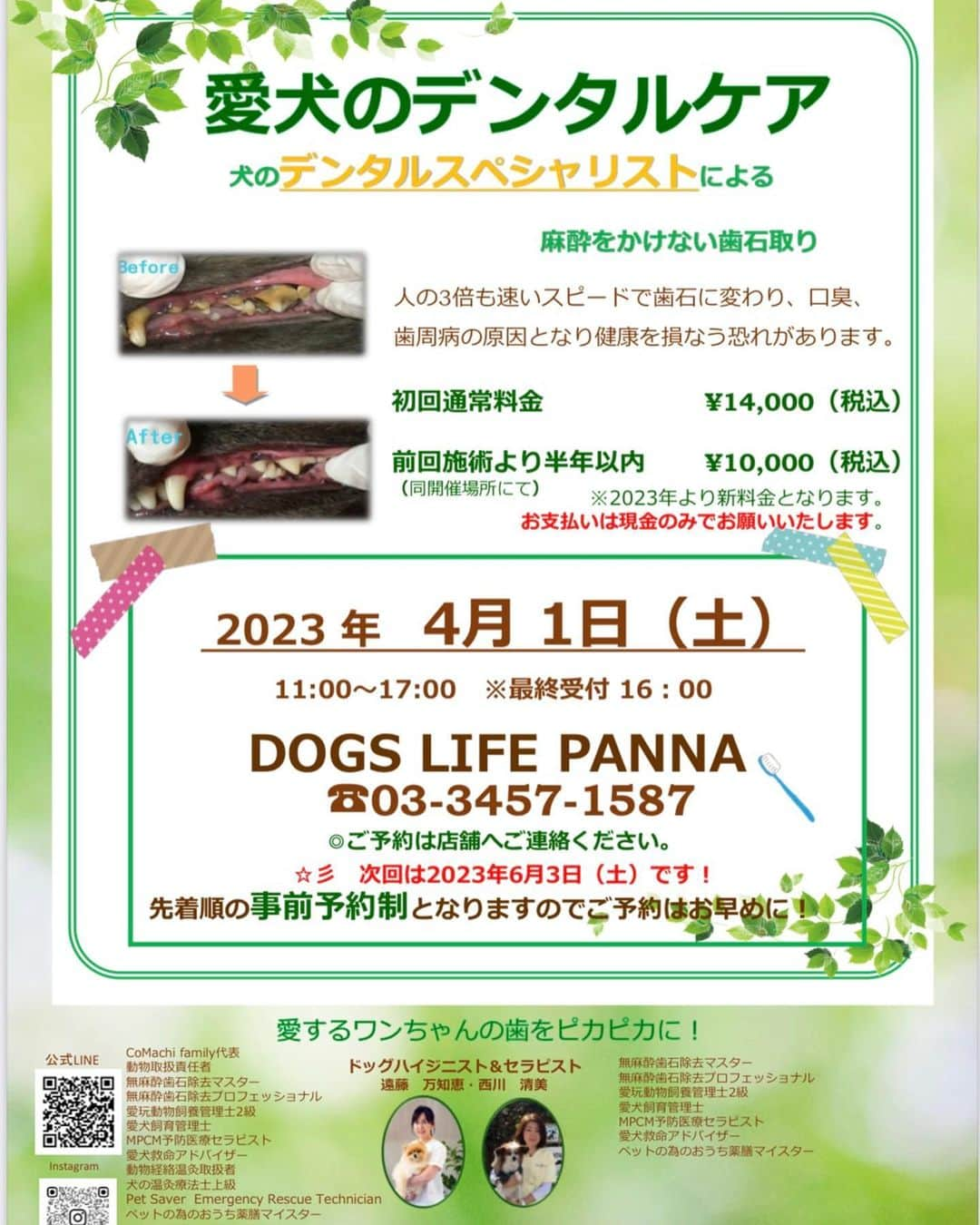 Dog's Life PANNAさんのインスタグラム写真 - (Dog's Life PANNAInstagram)「いつも満員御礼のイベント🦷✨ PANNA店舗改装のため3月開催の予定が4/1(土)に変更となりました😌  おうちのケアでは追いつかなかった歯石たちをスッキリ綺麗に✨✨身体への負担をかけずストレスなく行います💎 大切な歯を守り元気いっぱい長生きしましょう💓☺️ ご予約は先着順になります。 お早めにお問い合わせくださいませ🥰  先週予約のお電話をいただいたお客様に折り返しをさせていただきましたところ電話番号を間違えて控えており繋がりませんでした🙇‍♀️予約受付を開始しましたので再度ご連絡をいただけますと幸いです🙇‍♀️🙏  #3ヶ月ごとの大人気のイベントです #衝撃的に綺麗になり驚きます🦷⚡️ #お気軽にお問い合わせくださいませ📝  #パンナ #ドッグズライフパンナ #トリミングサロン #トリミング #ペットホテル #ペットショップ #デンタルケア #歯石とり #東京 #麻布十番 #犬バカ部 #ふわもこ部#dogslifepanna  #panna  #puppy #dogstagram #petstagram #dog #tokyo」2月11日 21時53分 - panna0313