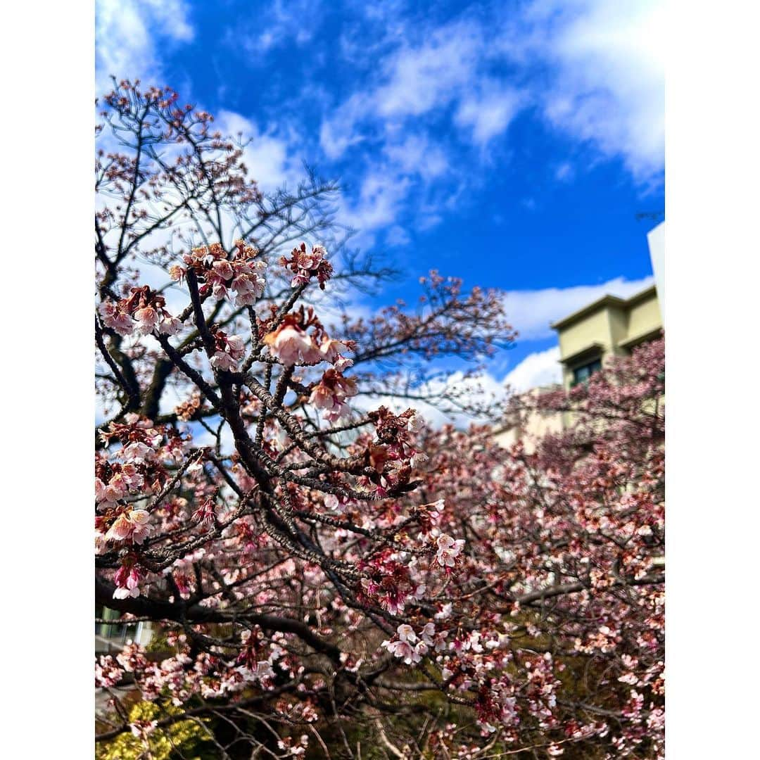 木村ユリヤさんのインスタグラム写真 - (木村ユリヤInstagram)「熱海にて撮影旅行〜🏝 早咲き桜がすごく綺麗だった❗️海も眺められて最高✨  ランチも美味しかった〜🍽💓 ハンバーグ大好き😘 . . . . . . . . . . . .  #熱海旅行 #熱海観光 #静岡観光 #静岡グルメ #熱海グルメ #静岡ランチ #静岡カフェ #熱海カフェ #熱海ランチ #早咲き桜 #着物ヘア  #着物レンタル #着物女子 #着物デート #着物ヘアアレンジ #着物コーデ #和服美人 #和装ヘア #和装 #和装モデル #和装撮影  #ロケーション撮影 #ロケーションフォト #ロケ撮影 #ハーフモデル #ハーフ　#フリーモデル　#フリーランスモデル　#サロンモデル #撮影モデル」2月11日 22時15分 - yuliya1018