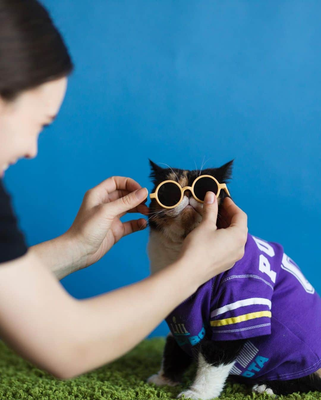 Pudgeさんのインスタグラム写真 - (PudgeInstagram)「Pudge is ready for the #SuperBowl 🏈 I made this jersey out of a baby onesie many years ago… swipe for proof. (and that football is a dog toy 🤫)」2月12日 0時50分 - pudgethecat