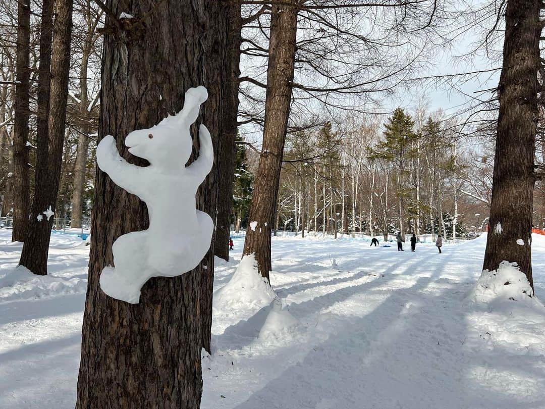 葵のインスタグラム：「北海道の思い出2 会場が円山公園の近くだったので 北海道神宮へ参拝に行ってきました！ 円山公園の街並みのノスタルジックな風景や途中に広がる広大な雪景色が素敵でした。 サブスクで"雪"プレイリストを流しながら歩いたら景色が一層に煌めきました。 そして北海道神宮。とてもパワーを感じる場所でした。宮内で食べるとパワーを得られると話題の六花亭の"判官さま"もしっかり食べれた！ 北海道神宮パワーでLIVEも良い感じに歌えたかなって思います。 今回の北海道公演はLIVE本番だけでなくオフも楽しめたかな。充実した2日間でした！ #北海道神宮 #円山公園」