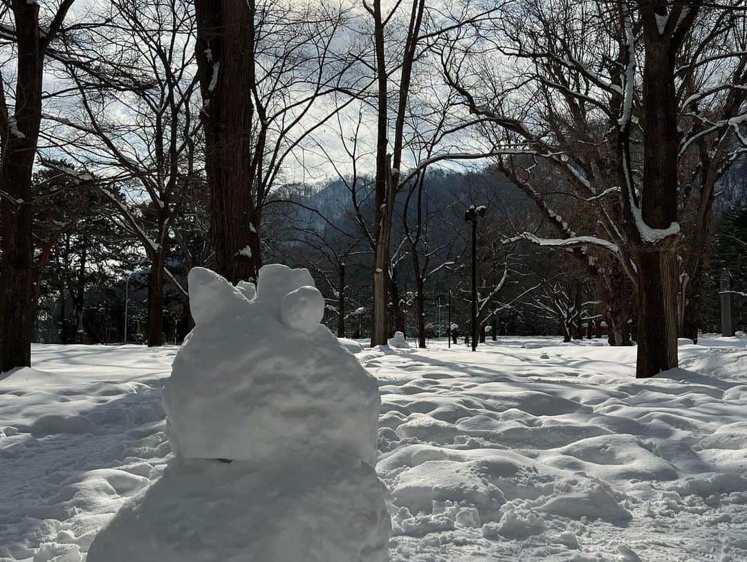 葵さんのインスタグラム写真 - (葵Instagram)「北海道の思い出2 会場が円山公園の近くだったので 北海道神宮へ参拝に行ってきました！ 円山公園の街並みのノスタルジックな風景や途中に広がる広大な雪景色が素敵でした。 サブスクで"雪"プレイリストを流しながら歩いたら景色が一層に煌めきました。 そして北海道神宮。とてもパワーを感じる場所でした。宮内で食べるとパワーを得られると話題の六花亭の"判官さま"もしっかり食べれた！ 北海道神宮パワーでLIVEも良い感じに歌えたかなって思います。 今回の北海道公演はLIVE本番だけでなくオフも楽しめたかな。充実した2日間でした！ #北海道神宮 #円山公園」2月12日 9時38分 - aoi_official0401