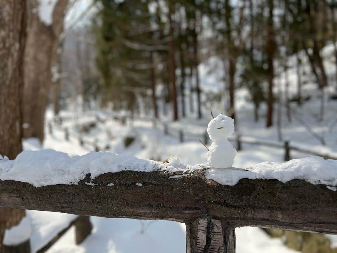 葵さんのインスタグラム写真 - (葵Instagram)「北海道の思い出2 会場が円山公園の近くだったので 北海道神宮へ参拝に行ってきました！ 円山公園の街並みのノスタルジックな風景や途中に広がる広大な雪景色が素敵でした。 サブスクで"雪"プレイリストを流しながら歩いたら景色が一層に煌めきました。 そして北海道神宮。とてもパワーを感じる場所でした。宮内で食べるとパワーを得られると話題の六花亭の"判官さま"もしっかり食べれた！ 北海道神宮パワーでLIVEも良い感じに歌えたかなって思います。 今回の北海道公演はLIVE本番だけでなくオフも楽しめたかな。充実した2日間でした！ #北海道神宮 #円山公園」2月12日 9時38分 - aoi_official0401
