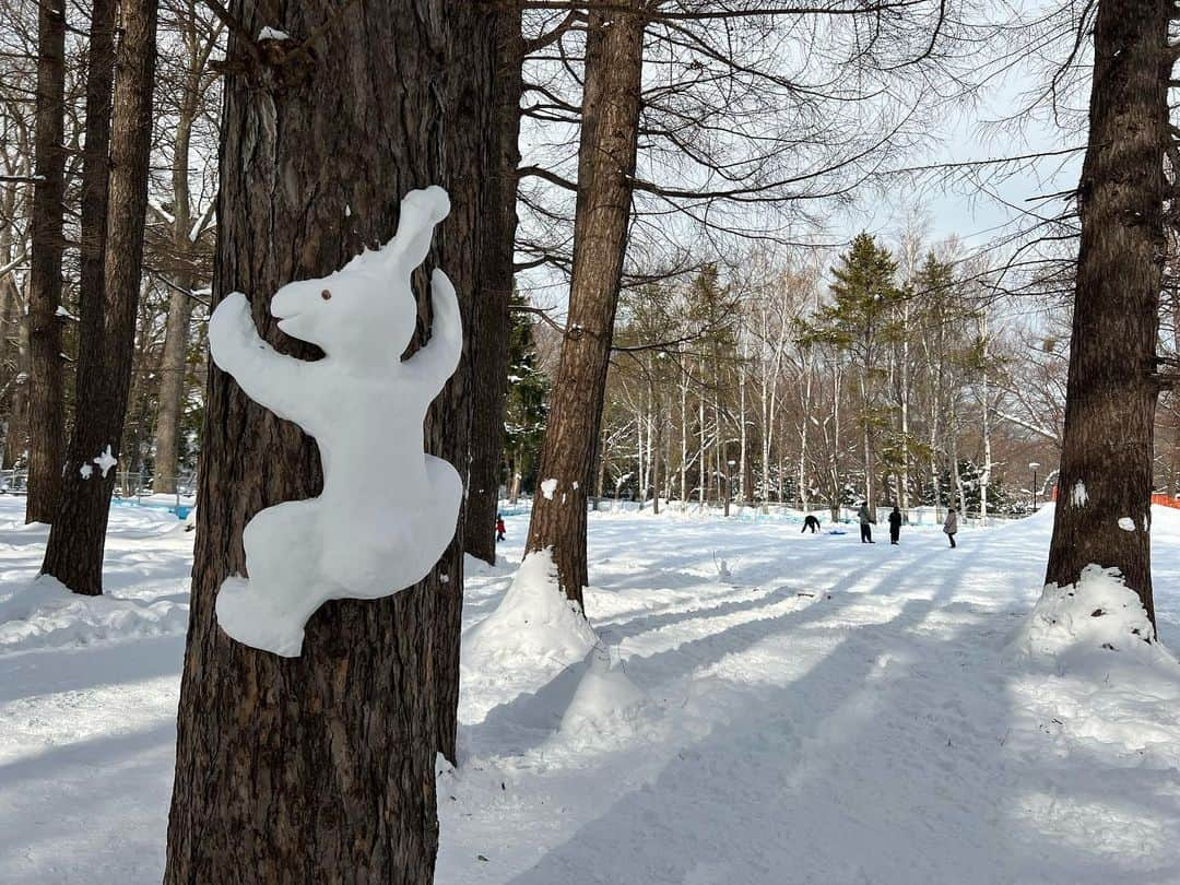 葵さんのインスタグラム写真 - (葵Instagram)「北海道の思い出2 会場が円山公園の近くだったので 北海道神宮へ参拝に行ってきました！ 円山公園の街並みのノスタルジックな風景や途中に広がる広大な雪景色が素敵でした。 サブスクで"雪"プレイリストを流しながら歩いたら景色が一層に煌めきました。 そして北海道神宮。とてもパワーを感じる場所でした。宮内で食べるとパワーを得られると話題の六花亭の"判官さま"もしっかり食べれた！ 北海道神宮パワーでLIVEも良い感じに歌えたかなって思います。 今回の北海道公演はLIVE本番だけでなくオフも楽しめたかな。充実した2日間でした！ #北海道神宮 #円山公園」2月12日 9時38分 - aoi_official0401