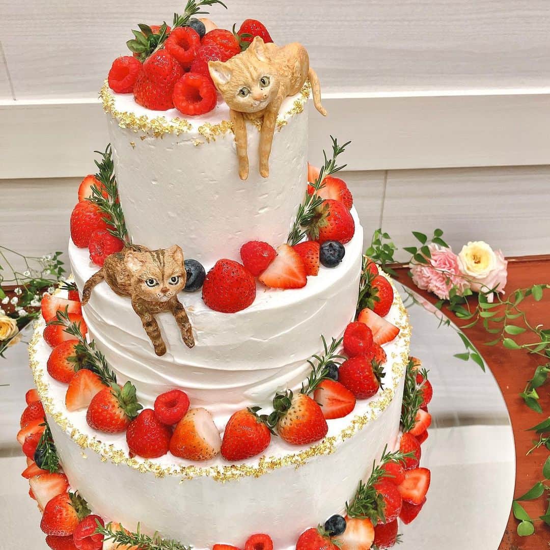 アールベルアンジェNagoyaのインスタグラム：「本日ご紹介のウェディングケーキはお二人の飼われている可愛いカワイイ猫ちゃん達も参加してます🐾  #アールベルアンジェ名古屋 #ウェディングケーキ#プラチョコ#名古屋#式場#ゲストハウス#愛知#ブライダル#猫#wedding #weddingcake #cake#オリジナルケーキ#オーダーケーキ#ケーキ#ケーキトッパー#ウェディング#花嫁#dridal #プレ花嫁#名古屋式場#名古屋グルメ #パティシエ#ウエディングケーキ#ウェディングケーキデザイン #」