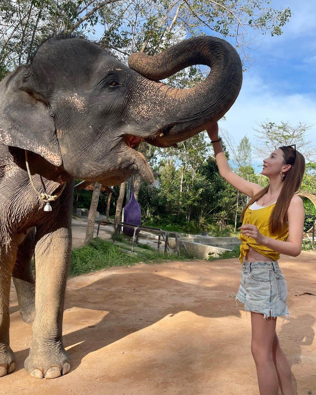 丹羽仁希さんのインスタグラム写真 - (丹羽仁希Instagram)「📍Phuket Island #プーケット　  象さんに…🐘🤍 sunsetも綺麗だった♡」2月12日 20時48分 - __niki22