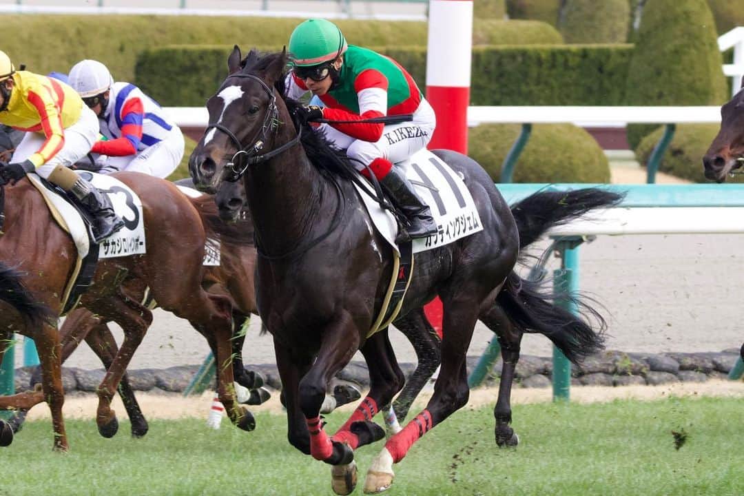 池添謙一のインスタグラム：「無事に復帰する事ができました🏇 でも復帰するという事はプロの世界では結果を出さなきゃいけないという事。 また来週から頑張ります‼︎ お疲れ様でした。  写真お借りしています📷」