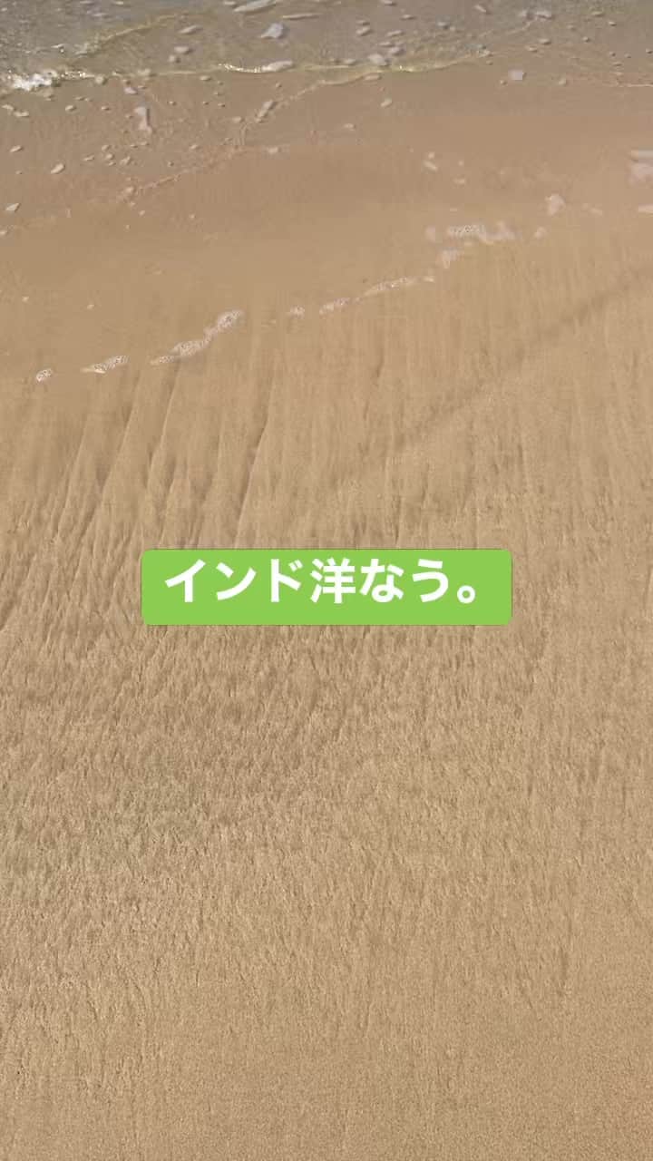 三谷晶子のインスタグラム：「インド洋中🇱🇰」