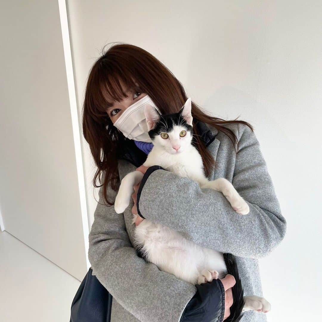 恒吉梨絵のインスタグラム：「猫ちゃん😻  保護猫カフェへ行って来ました❤️ 可愛いよぉぉぉおおおお😭✨  #保護猫カフェ#保護猫喫茶#保護猫#ねこ」