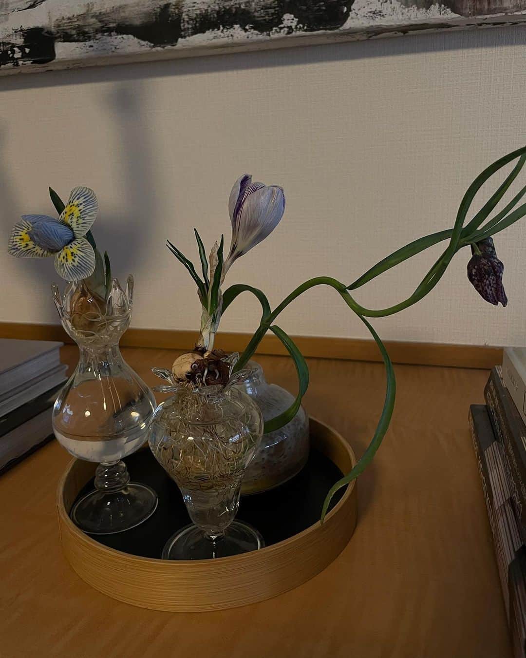 正中雅子のインスタグラム：「🌷🐝🌱  #masaco_interior」