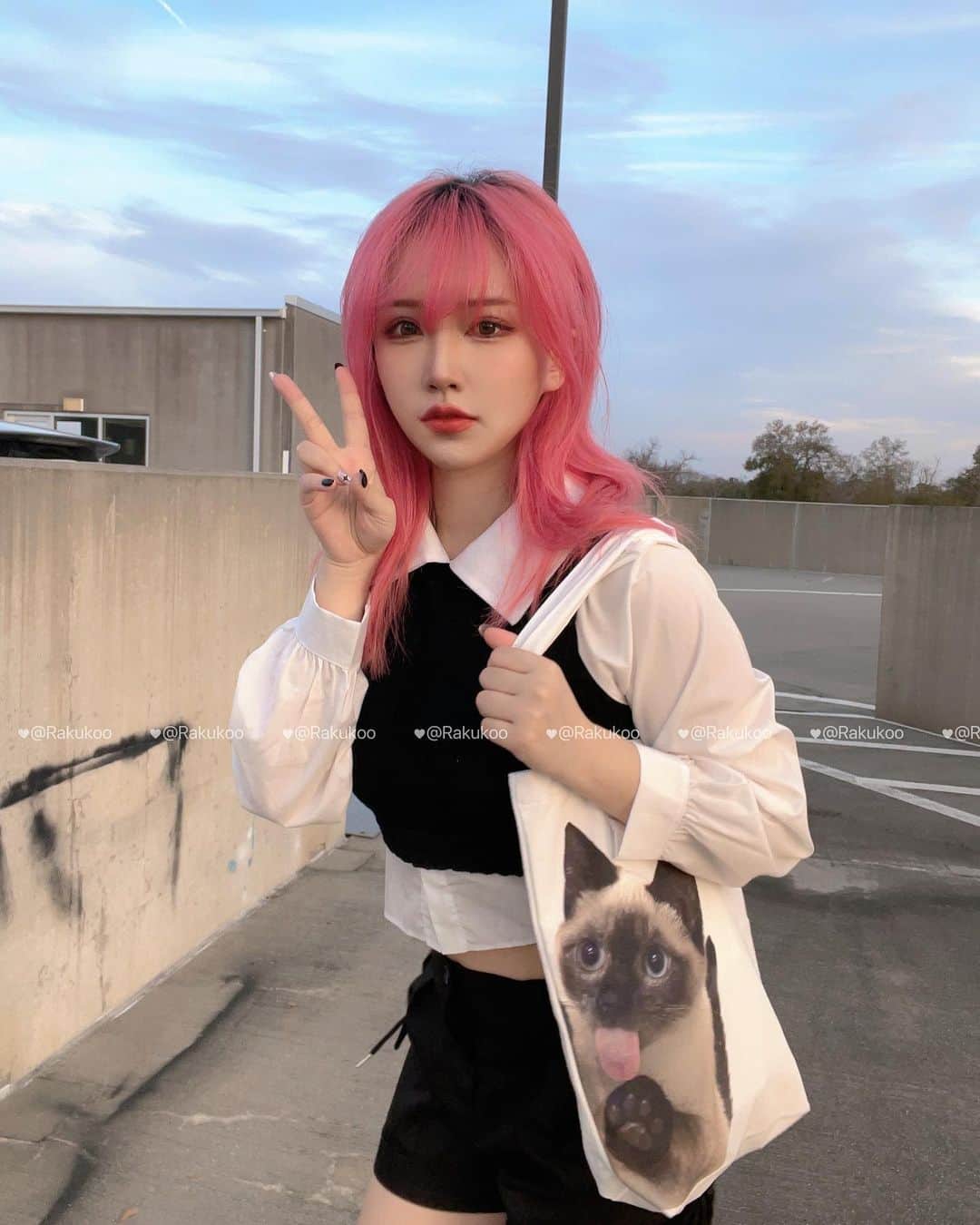のインスタグラム：「🐱」