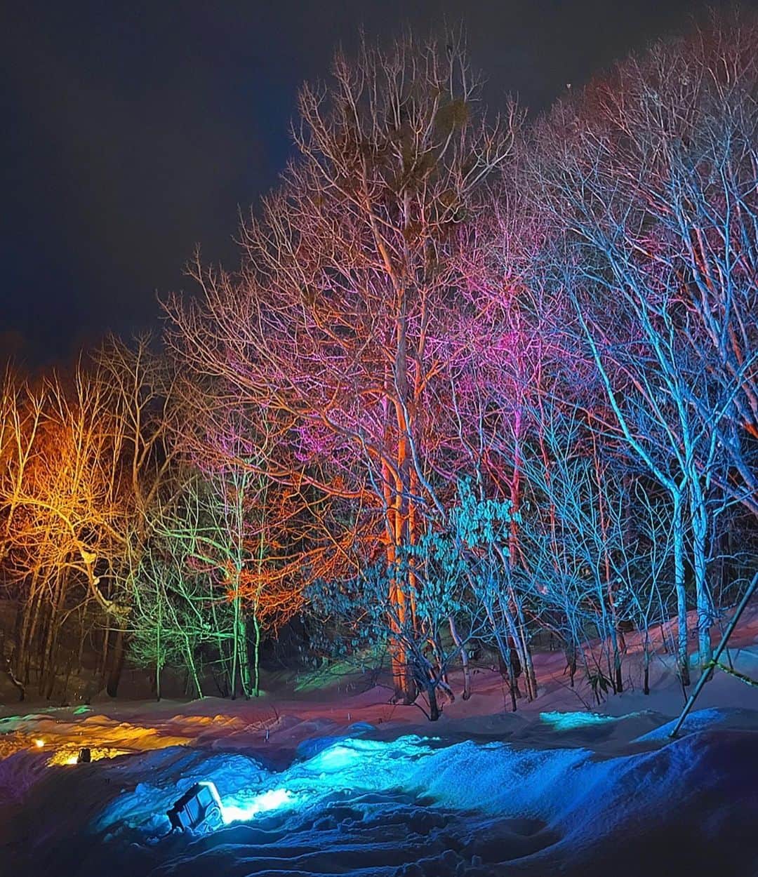 木村愛里さんのインスタグラム写真 - (木村愛里Instagram)「⋆ @sapporo_artcamp  今年も幻想的な世界へ☺️  雪見❄️花見🌸  雪という真っ白で 壮大なキャンパスに 鮮やかな彩り🌈  去年より更にパワーアップしていて スマホで自分と大切な人の 色をそえられるエリアも！ ぜひ会場でチェックしてほしい🥺  コーヒーにワインに ジンギスカンも楽しめるのだ😋  2月19日(日)まで @sapporo_art_park で 開催されています🤍  最終日の花火もみたいなぁ🥹  #sapporoartcamp  #雪見 #花見 #芸術の森 #北海道 #札幌観光 #雪 #japan #hokkaido #sapporo @remotabi_hokkaido   #9枚目の息子は寝ました笑」2月12日 17時04分 - airi_official