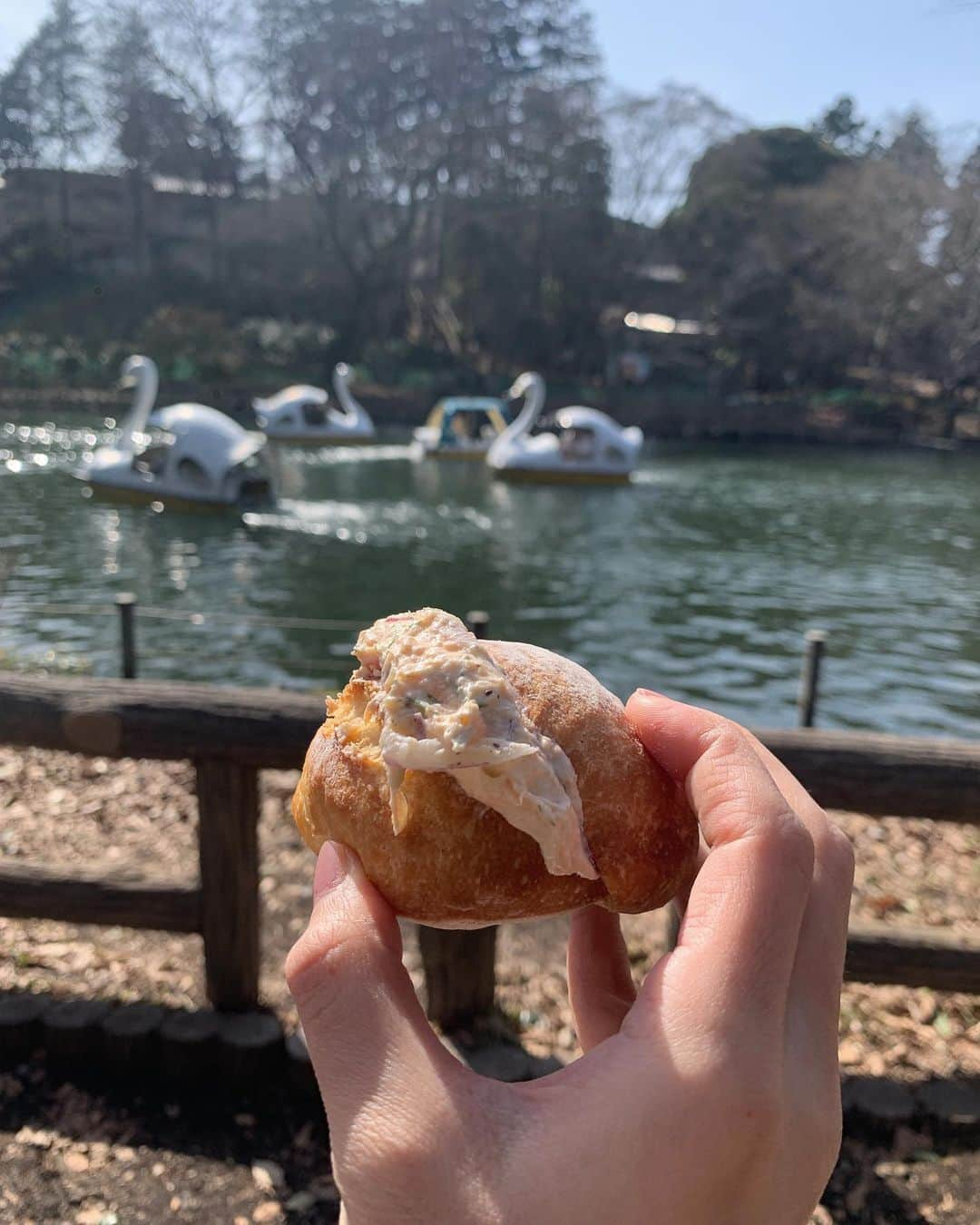 二宮綾海のインスタグラム：「🤍 ポカポカで 気持ちよか〜〜🌸  #我が家の休日 #パグスタグラム」