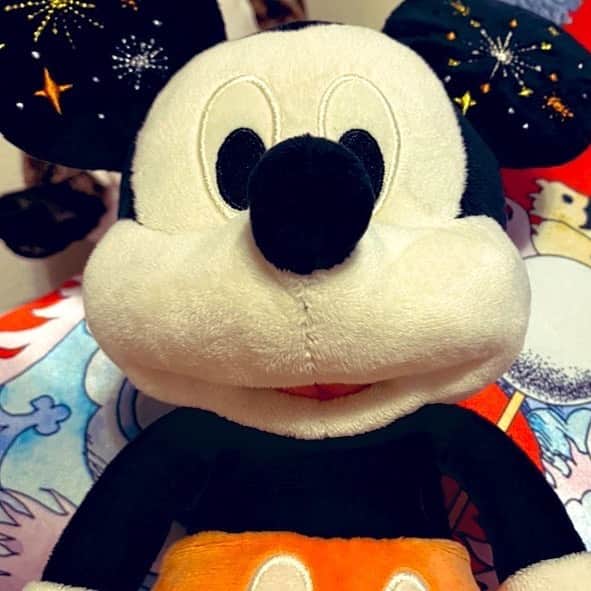 森永理科さんのインスタグラム写真 - (森永理科Instagram)「新入りのミッキーマウス。」2月12日 18時24分 - likamorinaga