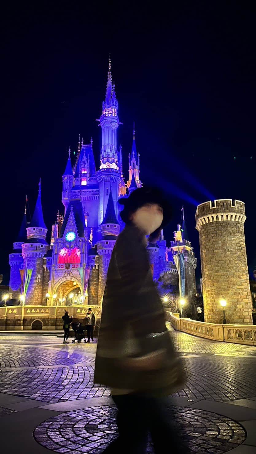 田辺奈菜美のインスタグラム：「少しの時間だったけど最高に楽しかった☺︎ #disneyland#ディズニーランド#いつかの動画」