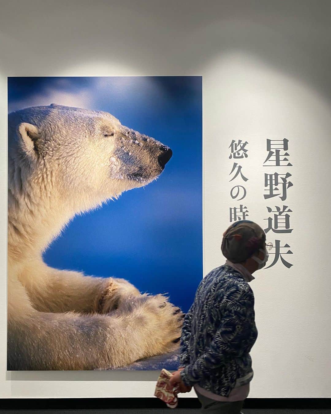 斎藤なりのインスタグラム：「星野道夫「旅する木」は人生で初めて影響を受けた本。ソーントンワイルダー「わが町」は冒頭空で言えるほど好き。生涯一度でいいからストレートで挑戦したい。  フラクタルなものと表現したらナンセンスかもしれないけど「今」を理解させてくれる旅路は美しい〜🪷  皆さん最近読んで観て体験してよかった事何かありますか？教えて〜🌿」