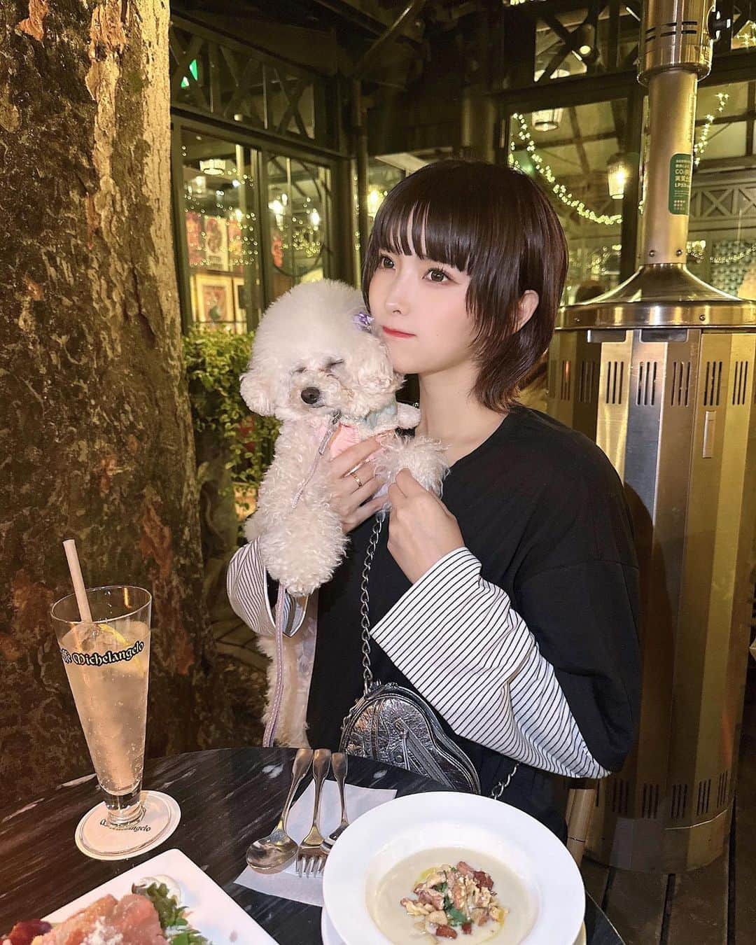 のインスタグラム：「カフェ活☕️ . アメリカから帰ってきてからはラフな服装が多め🫠 . 今までの服たくさん断捨離して新しい服Getしたよ♪♪♪気分上がる〜〜〜  .  @dazy_fashion . . .  クーポンコード：「SSJP137」❤︎ . 商品ID：11912490  .  #SHEINDAZY#ootd#SHEINforAll#SHEINss23 #ad #pr  #shein購入品 #sheinおすすめ　#sheinクーポン」