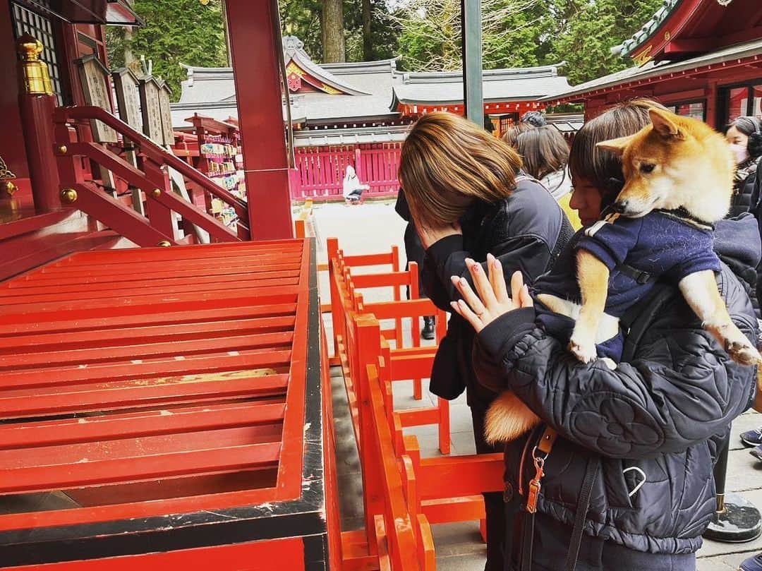 椎名歩美のインスタグラム：「願いが叶いますように😌🤍  #家族 #感謝」