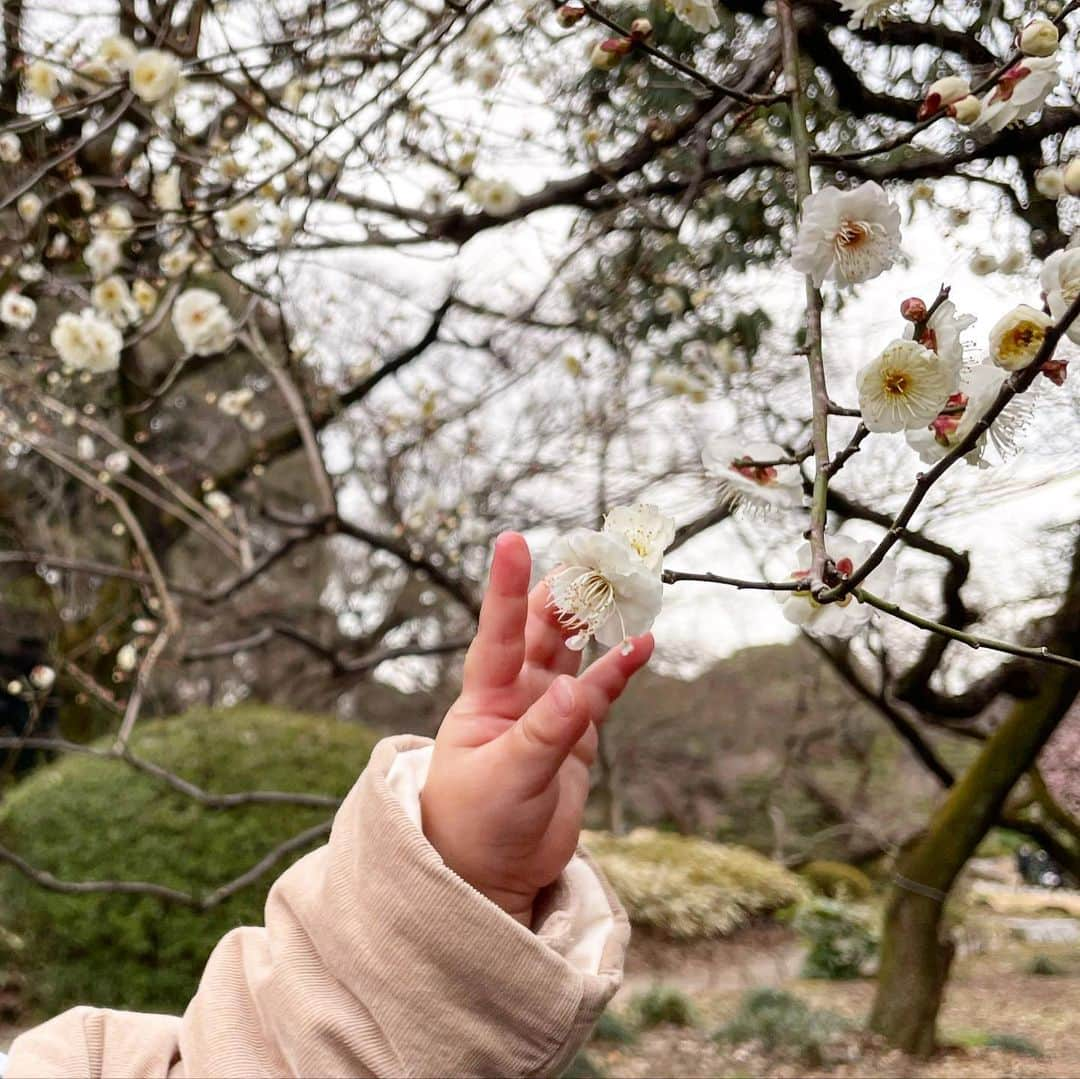 石橋穂乃香のインスタグラム：「This weekend🌸  The Valentine’s Day is coming and also spring is almost here...☺️」