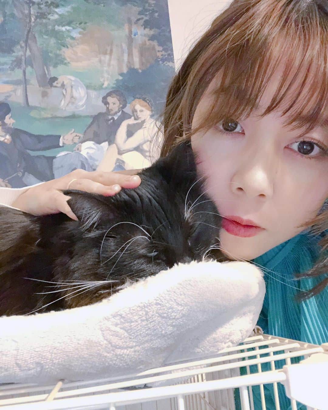 木村仁美さんのインスタグラム写真 - (木村仁美Instagram)「最近のchami🧚‍♂️ 載せておきます2023🌨🐈‍⬛🕯  今年に入り、年始にはまさかのまた体調を崩したり…してました。(なんと何かの海鮮？にあたって胃腸炎に…) 本当に色々とあるので、今年の目標は更なる健康を追求する、というところです。☃️🥹  そして1月はついにアトピー&超乾燥肌が、この地球の乾燥に負けて荒れてしまって、顔や身体がしばらく辛い日々を少し過ごしました。  今は改めて皮膚科のお薬で鎮静させて、また一から保湿ケアを頑張ってるところです。  やっと化粧水を吸ってくれるようなお肌に戻って嬉しい…。(荒れすぎると化粧水はできないほどかゆかゆ&ピリピリです)  なんと言っても、CICAデイリーパックの凄さを昨年からしみじみ感じてます🐅🌿 ウェディング前もだいぶ調子整えられた◎ だいぶ敏感肌ですが、悩んでる方いたら試してみてほしいです。  さてさて、短い目で見ると、なんだかツイてないね、ちゃみちゃん🥲なんて思うかもしれませんが…  ここ数年で身体もメンタルの調子も、かなり底上げできていて数年前より格段と元気になってきています❁ なのでご心配なく…🌿  調子が悪いことを、前は隠すことが大切だと思ってたけど、記録したり少し話すくらいがちょうど良いね。昔より、何だかカッコつけなくなりました。 生きていたら調子の良い時もあれば、ズンと落ちて具合が悪い時もありますね。 そんな時、自分自身を責めずに優しく在りたいといつも思います。✴︎(天井を見つめながら…)   そして、あれやこれや、新しいことを最近進めています。  思い返せばアーティストとして生きたいと思ってたのと同じくらい、昔から夢に思ってたこと。だったな…なんて🕯 結局あれもこれも繋がって、私の人生の一つのテーマなのかもしれません。  それは、後もう少しでお知らせしたいので、絶賛準備中なのです。 どうか、お楽しみにしていてくださいね…🧚‍♂️  日記のような、ブログのような、みんなへのメールみたいな。そんな投稿でした🫶🏻  それでは、また❤︎  2023.2.13 chami」2月13日 2時54分 - chami_cat