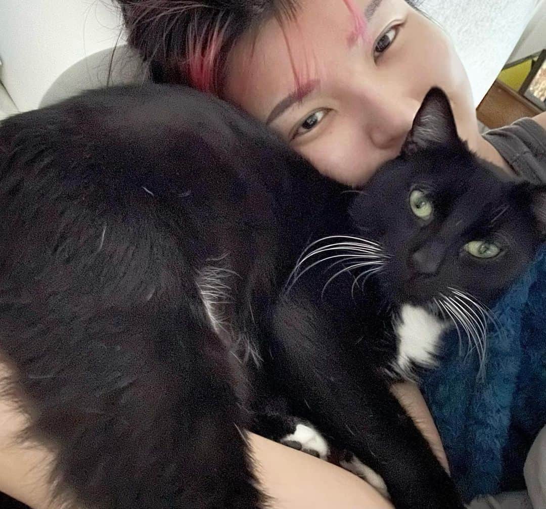 志田光さんのインスタグラム写真 - (志田光Instagram)「My dear black fluffy thing❤️ #hikarushida #cats #tuxedocat」2月13日 10時23分 - shidahikaru