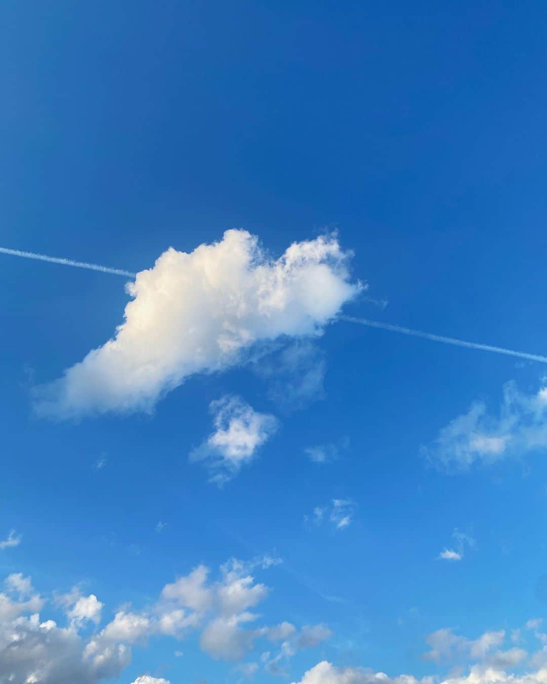 道岡桃子さんのインスタグラム写真 - (道岡桃子Instagram)「おはようございます☀  今週もがんばらない程度に、  がんばりましょう！！笑  本日東京は小雨なので、  熱海で撮った空を載せます🌤  #飛行機雲  #青空  #空  #sky」2月13日 12時16分 - momoko_ana