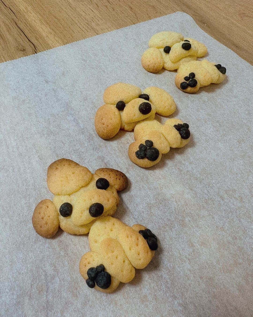 武田静加さんのインスタグラム写真 - (武田静加Instagram)「⁡ ⁡ ⁡ ⁡ 𝐇𝐚𝐩𝐩𝐲 𝐕𝐚𝐥𝐞𝐧𝐭𝐢𝐧𝐞...🍫💗 ⁡ ⁡ ⁡ 今年はあくびさんクッキー作成🍪✨ ⁡ ・小さく可愛いバージョン ・むっちりぷっくりバージョン ⁡ 個数は少量にして丁寧に作ってみました！ 個人的には焼く前の方がすき💗 ⁡ ⁡ ⁡ 去年はシュナウザークッキー 今年はマルプーあくびクッキー 小粒さんを作りたいのですが 色々難易度高いので丸まって寝てる姿を...！！ (めちゃくちゃ似てる😜) ⁡ ＿＿＿＿＿＿＿＿＿＿＿＿＿＿＿＿＿＿＿＿ ⁡ 薄力粉 100g 卵黄 １個 粉砂糖 40g バター 50g ブラックパウダー様子を見ながら ⁡ オーブン予熱170度 160度で様子見ながら10-15分焼き ＿＿＿＿＿＿＿＿＿＿＿＿＿＿＿＿＿＿＿＿ ⁡ バレンタインのたびに おやつ作りの楽しさを思い出させてくれる ハッピーバレンタイン💗 ⁡ ⁡ ⁡ ⁡ #ValentinecookieValentine#バレンタイン #マルプー#あくび #愛犬#愛犬クッキー#プードルクッキー#手作り ⁡」2月13日 12時58分 - takedashizuka0517