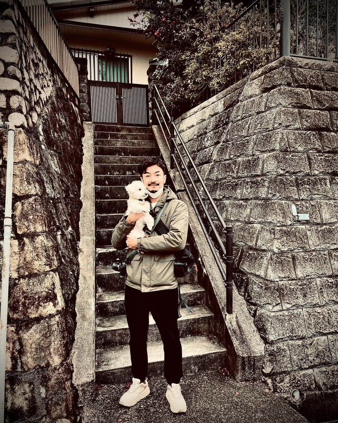 聡太郎さんのインスタグラム写真 - (聡太郎Instagram)「🐩🧔🏻‍♂️  #dog #toypoodle #love #japan  #omochi #おもち  #sotaro #聡太郎 #ヤスダソータロー」2月14日 0時24分 - sotarosotaro