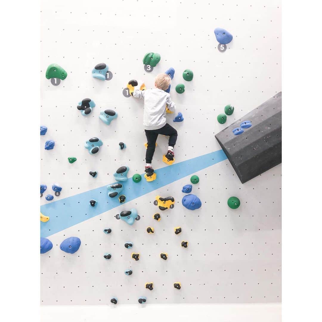 palomaparrotのインスタグラム：「1783 days」