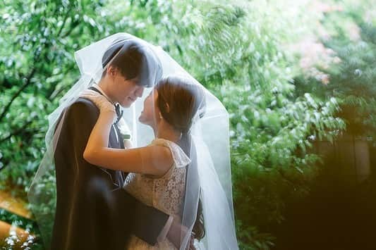 THE SODOH WEDDING OFFICIALのインスタグラム：「*  Wedding Photo  結婚式当日の何気ないシーンも素敵な一枚に 何年か後 見返した時に当時のことを思い出せるような そんなお写真をたくさん残してください  ⁡>>> @sodoh_wedding  #sodoh花嫁 #thesodohhigashiyamakyoto #ザソウドウ東山京都 #sodoh #weddingdress #dress #kyoto #wedding #thetreatdressing #プレ花嫁 #卒花嫁 #結婚準備 #式場探し #関西花嫁 #京都花嫁 #京都結婚式#東山」