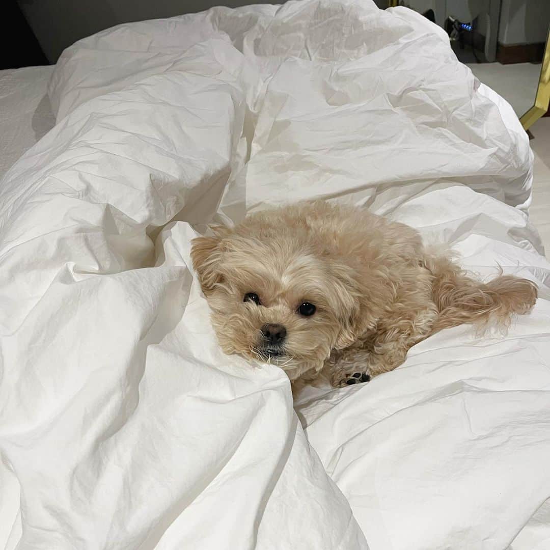 イ・イェリムのインスタグラム：「귀여운건 다각도로🦦ෆ」