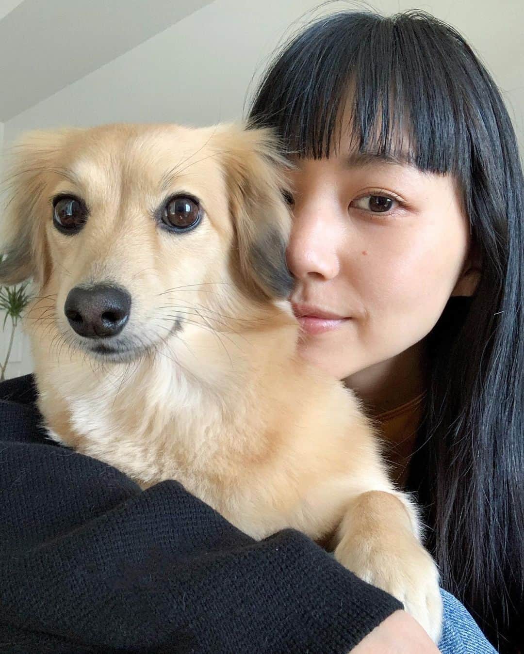 Shiho Sasakiのインスタグラム：「🐶✌︎  #homesweethome」