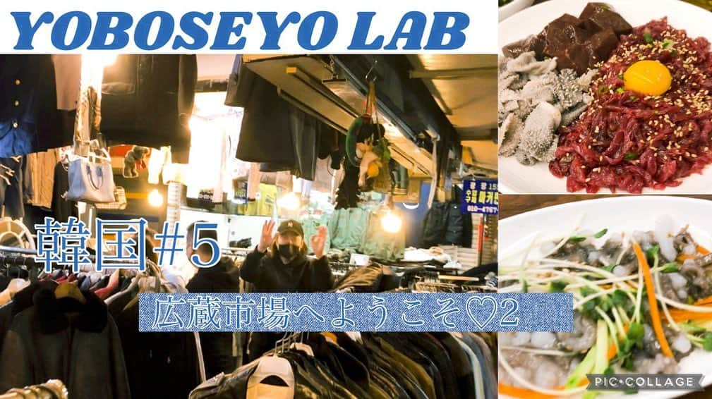 堤太輝のインスタグラム：「【韓国旅行#5】 どりあんず堤太輝のYouTubeチャンネル『YOBOSEYO LAB』を年末から始めさせて頂き、もうすぐチャンネル登録者数も1000人に届きそうな感じです！ 本当ありがとうございます🙇‍♂️  既に登録してくださってる皆様には心から感謝しております。 本当にありがとうございます。  登録者が増えていきますと色々な事が可能になりますぞ♪  皆様のチャンネル登録、高評価ボタン、コメント等は、なんといっても励みになります。  さて韓国の広蔵市場(クワァンジャンシジャン)には行った事があるけど市場の2階には行った事ない！という方多いんじゃないでしょうか。  洋服が好きな皆様、特に古着が好きな皆様に気に入って頂けると思います🙇‍♂️ お店の方も、とても優しく親切な方でした☺️  そして韓国に行った際には、是非とも市場のユッケ通りでレバ刺しや、ユッケやチュクミを食べてみるのも👍✨ですよ♬  韓国#5まだご覧になってない方は是非とも、ゆる〜くご覧下さい。  そして‼️本日後ほど21時過ぎに『韓国#6』アップさせて頂きます！ 韓国の美味しいお店のご紹介です🥩 お時間ある時に、ゆる〜くご覧下さいませ✨  心優しき皆様、チャンネル登録、高評価ボタンも是非、よろしくお願い致します✨  『YOBOSEYO LAB』応援よろしくお願い致します。  #YOBOSEYOLAB #ヨボセヨラボ #韓国 #韓国旅行 #韓国料理 #韓国グルメ  #韓国情報  #広蔵市場 #クァンジャンシジャン #カンジャンシジャン #古着 #韓国古着 #韓国古着屋 #ユッケ通り #レバ刺し #ユッケ #チュクミ #タコ刺し #海外旅行 #韓国好きな人と仲良くなりたい  #韓国好きな人とつながりたい  #韓国料理好きな人と繋がりたい  #どりあんず堤太輝 #堤太輝 #どりあんず堤のYouTube #YouTubeチャンネル開設しました #お時間ある時にご覧ください」