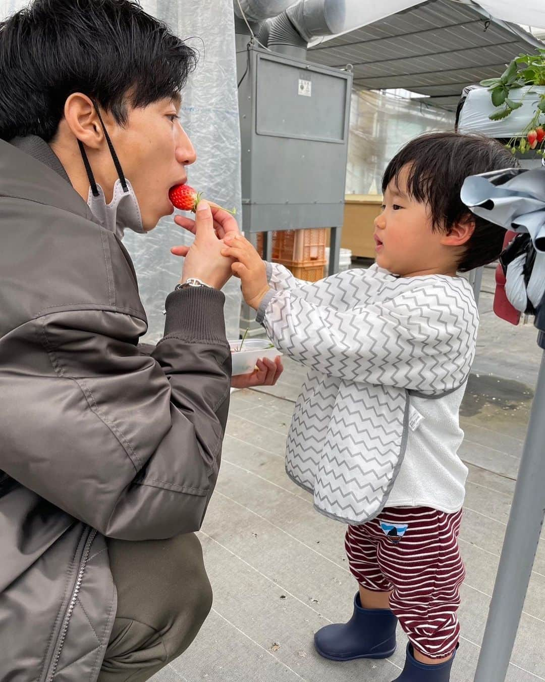 大津祐樹さんのインスタグラム写真 - (大津祐樹Instagram)「・ こっちも泣きたいくらい成長が嬉しいよ。  #2月11生まれ #お祝いはパパのオフで #いちご狩りいって一つも食べない人見たことないよ #パパとママしか食べてないよ #食べさせる担当 #すくすく育て #そしてこれからもよろしくな #そしてそしていつも暴れん坊を面倒見てくれてありがとうよ妻」2月13日 20時37分 - o2yuki