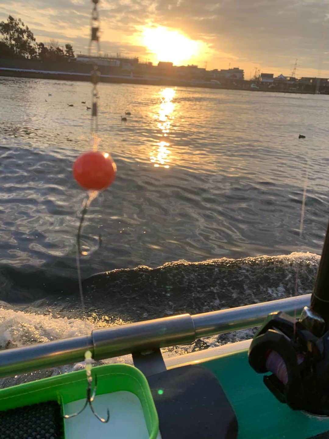 松村澪さんのインスタグラム写真 - (松村澪Instagram)「【フグ🐡釣り🎣釣果】 初めてのカットウ釣りにチャレンジ🎣 大きめのアカメフグ🐡ちゃんを1匹ゲット😉  海はおだやかなのに、なかなか釣れない。。。  ん⁉️  だいぶ重いけど生命反応がない感じ🥹 海面にあがってきたのは、立派なマダコ🐙さん‼️  びっくりしすぎて、写真ありません😅  今回も楽しいかったけど、今度はいっぱいフグ釣って、いっぱい食べたい❣️😋」2月13日 20時38分 - miomatsumura