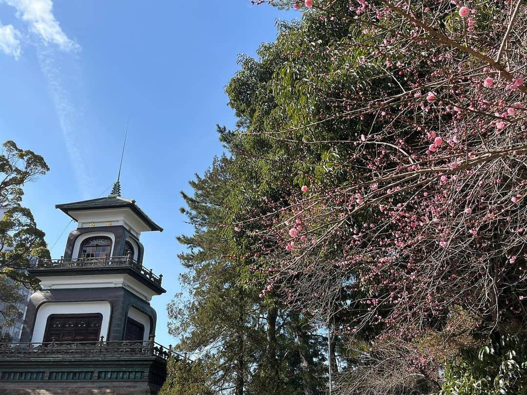 南早苗さんのインスタグラム写真 - (南早苗Instagram)「春よこいー🌸  先週の尾山神社。 梅がほころんでいました💓  #尾山神社　#春みつけた  #梅　#金沢　#観光　#開運おみくじ　#大吉　#まねきねこ　#japan #kanazawa」2月13日 21時34分 - minamisanae