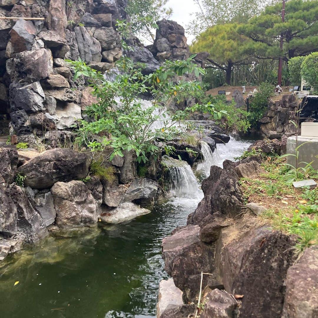 トニー・バーネットさんのインスタグラム写真 - (トニー・バーネットInstagram)「Fukushuen Garden. “The gardens of #fukushuengarden constitute three elemental spaces of brightness, calm and brilliance…” #naha #okinawa #japan」2月13日 21時46分 - tony.barnette