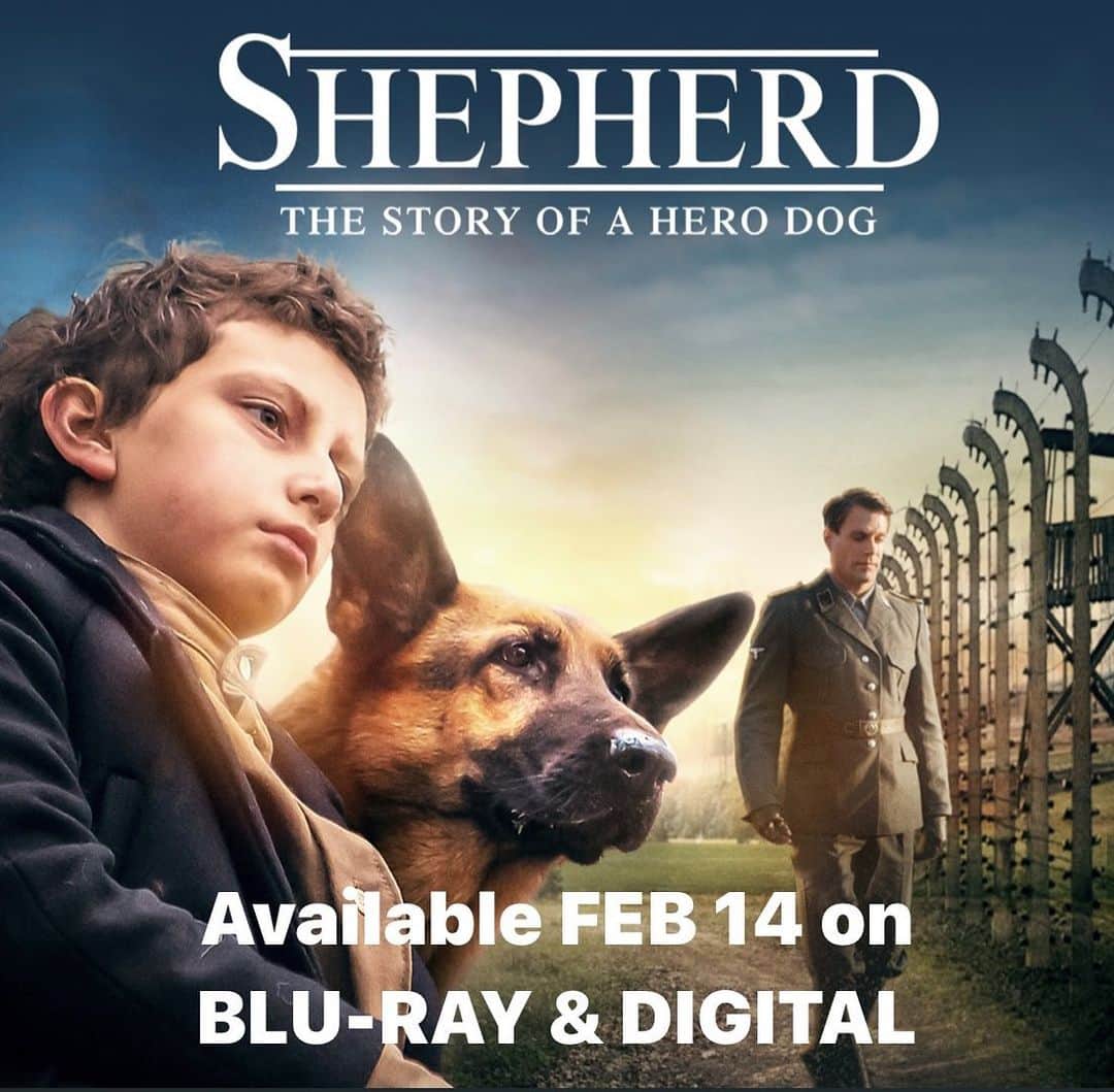 オーガスト・マトゥーロのインスタグラム：「❤️Feb 14, you can finally stream my film SHEPHERD here in the US/Canada on digital (Apple, Amazon, Google, Google/YouTube,  Xbox Movies, RedBox Digital and InDemand) and it’s also available for purchase on  Blu-Ray & DVD on Amazon! If you love dogs & history, you will love this film! #shepherdthestoryofaherodog」